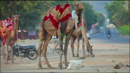 Sanjog - 1st September 2022